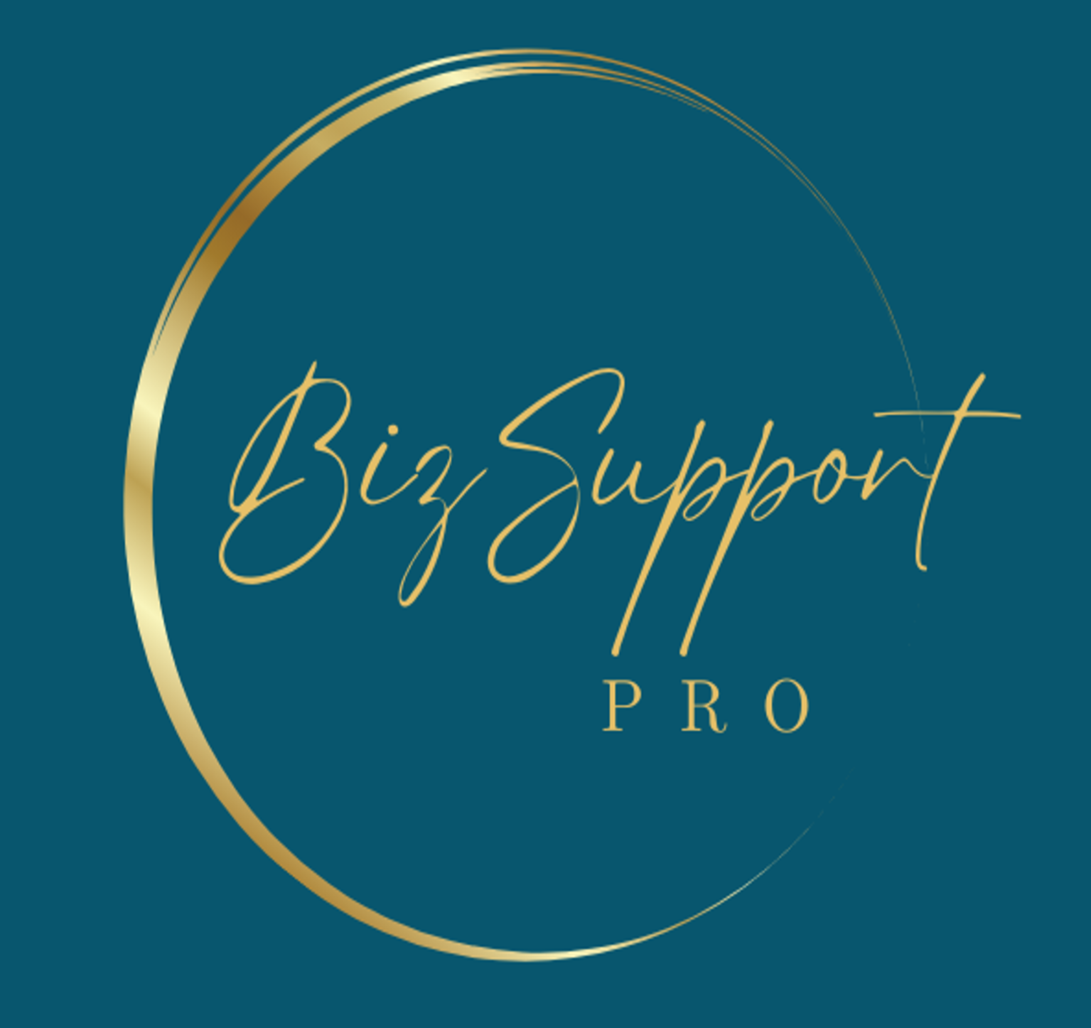 BIZ SUPPORT PRO