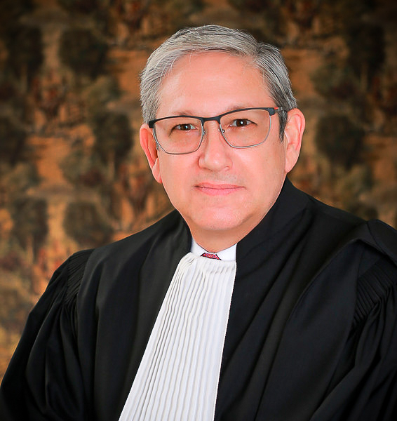 DSW LAW DAVID WILLIG